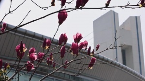 2026中超联赛第2轮 浙江俱乐部1-1上海申花 Match Day比赛日纪实