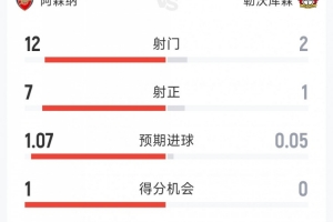 阿森纳1-0勒沃库森半场数据：射门12-2，射正7-1，得分机会1-0