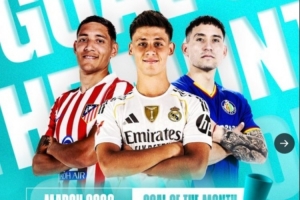 西甲2月最佳进球候选：居莱尔本方半场吊射，莫利纳惊天世界波