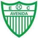 艾维尼达队标
