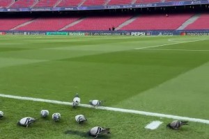 巴萨正在聘用一些非传统的场地维护人员，以保持诺坎普球场的完美