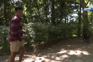 治愈！考古：苏维门迪和自己狗狗的日常！